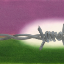 barb wire | oil on canvas, 8o x 3o cm
